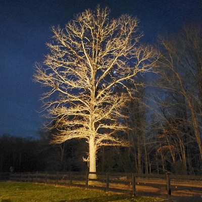 Residential Lighting Photo