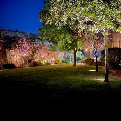 Backyard Lighting  Photo