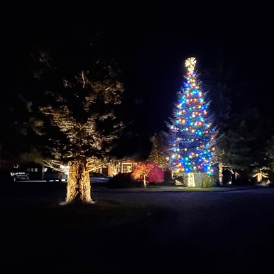 Holiday Lighting Photo