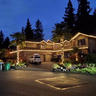 Holiday Lighting Photo