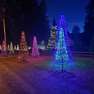Holiday Lighting Photo
