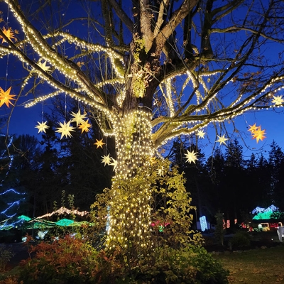 Holiday Lighting Photo