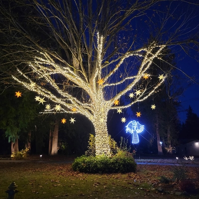 Commercial Lighting Photo
