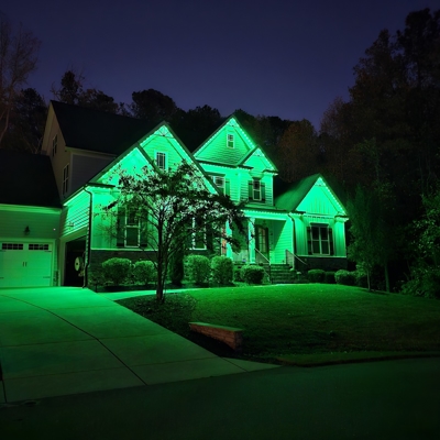 Green Permanent Roofline Lighting Photo