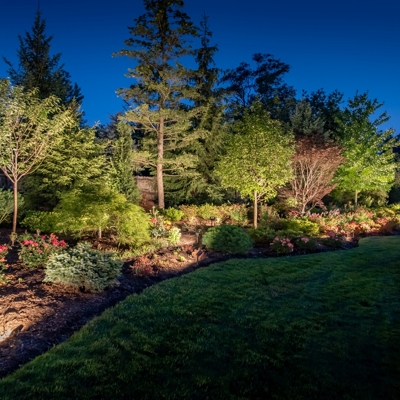 Backyard Lighting  Photo