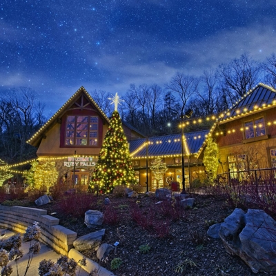 Chattanooga holiday lighting Photo