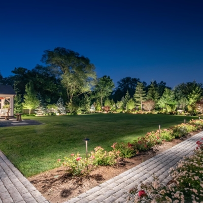 Garden Lights Photo