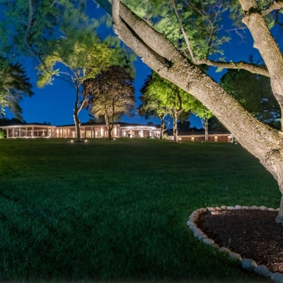 Tree and outdoor lights Photo