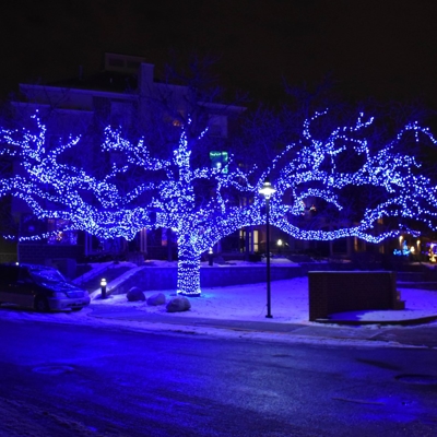 Blue holidays lights in the snow Photo