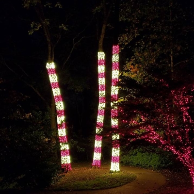 Holiday tree lighting Photo