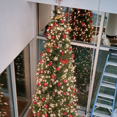 Holiday Lighting Photo