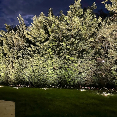 Residential Photo