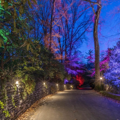 Color changing pathway lighting Photo