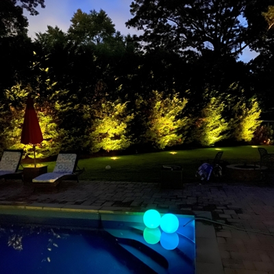 Lighting on Shrubs around Pool Photo