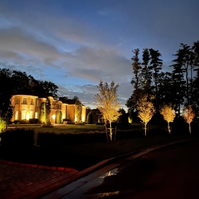 Lighting on Trees around House Photo