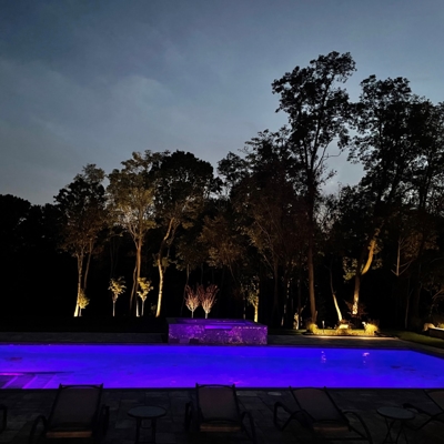 Lighting on Trees around Pool with Purple Lighting in Pool Photo