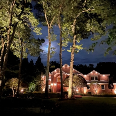 Front Yard Outdoor Lighting on House and Trees Photo