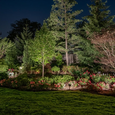 Outdoor Lighting in Landscape Garden Photo