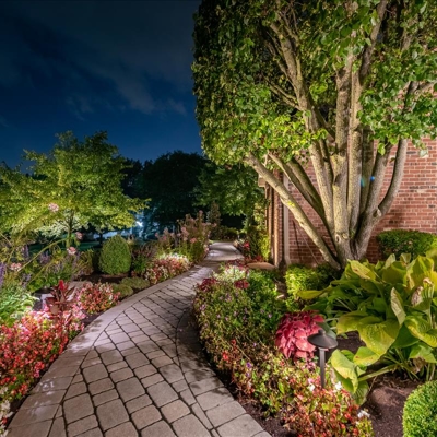 Pathway and Landscape Lighting Photo