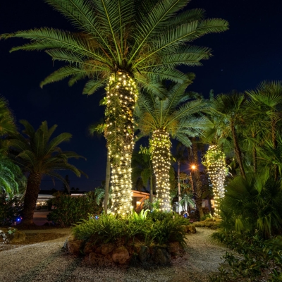 Add tree wrap lighting for any of your palms on your commercial property. Photo