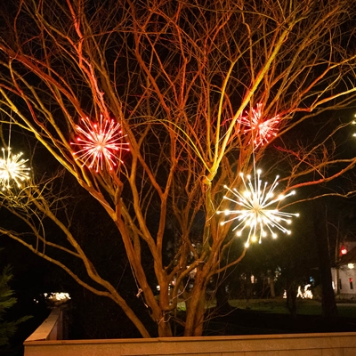 Outdoor tree lights Photo
