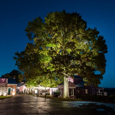 Exterior Lighting Photo