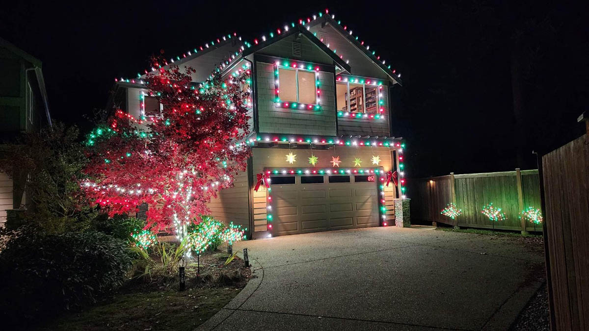 professional christmas lights installation boise