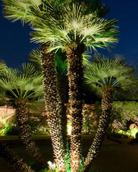Outdoor landscape lighting Las Vegas
