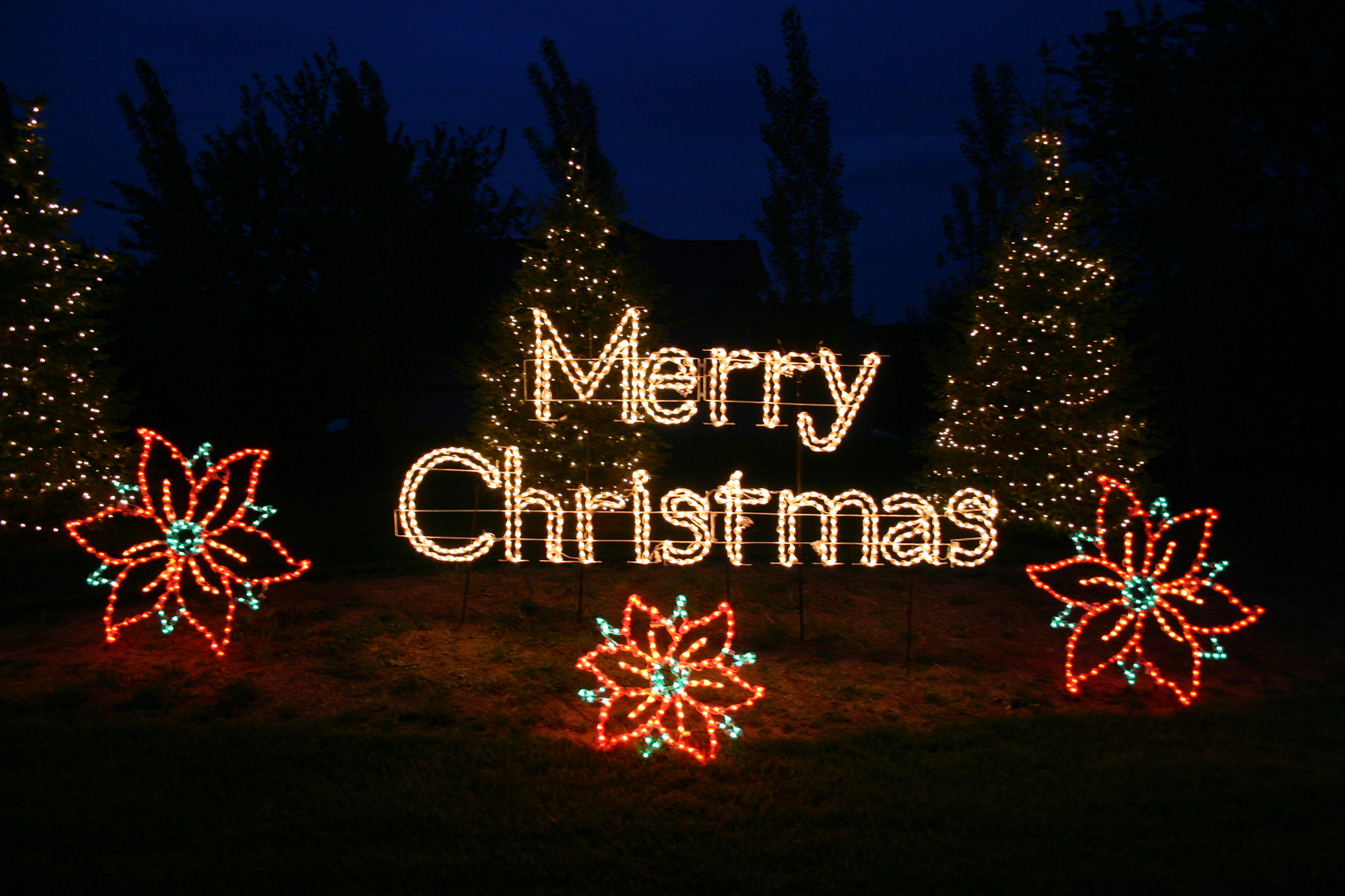 Exterior "Merry Christmas" Light display with pointsettas