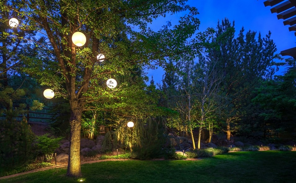 Backyard setting with sphere lighting hanging from trees