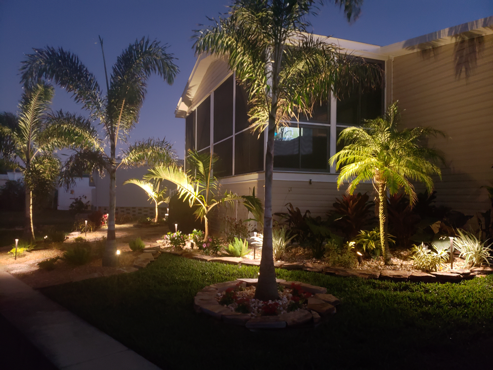 house with palm trees illuminated 
