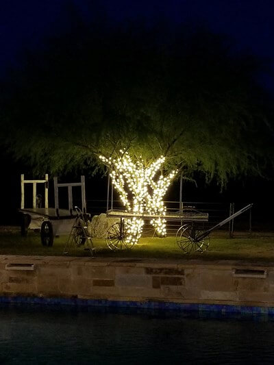 Tree lighting