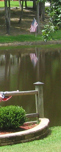 flag on water 