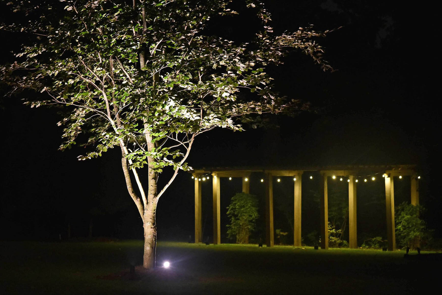 landscape lighting Richmond Charlottesville Landscape lighting
