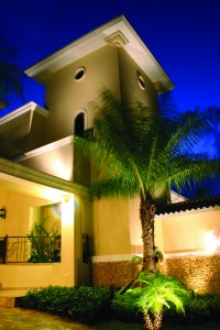 palm tree curb appeal