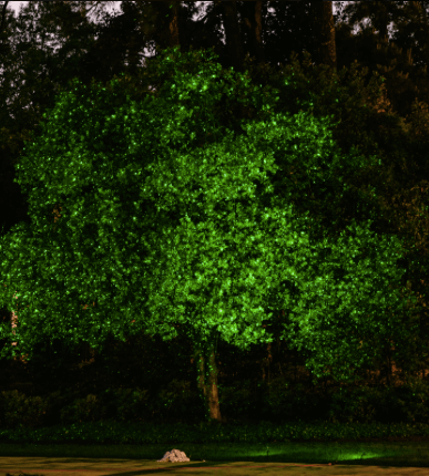 Landscape lighting