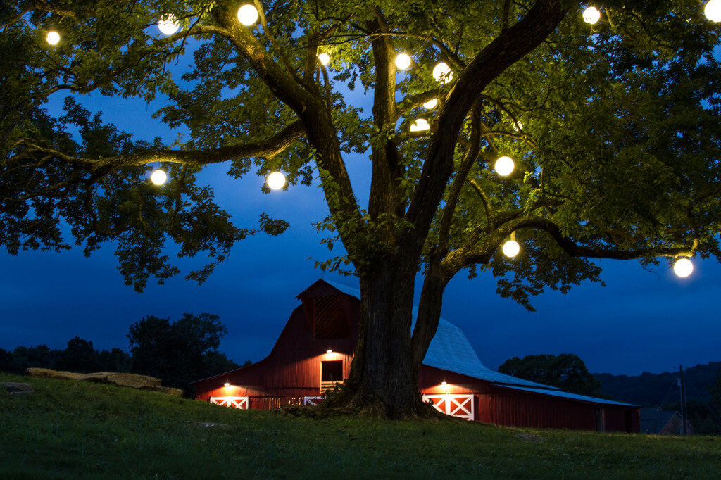 Decorative outdoor home lighting