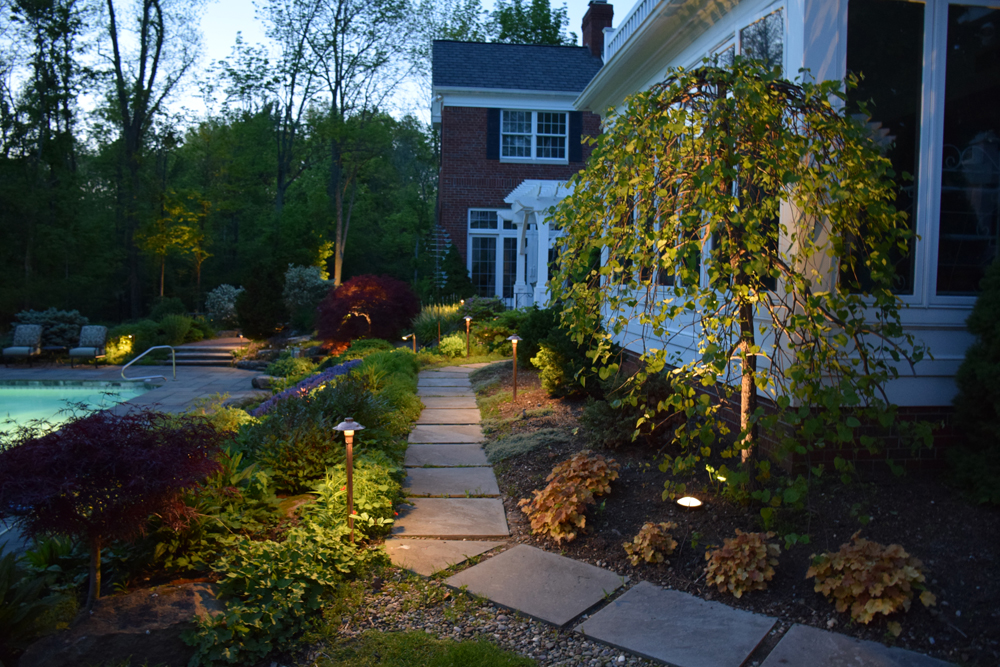 Landscape LED lighting in backyard