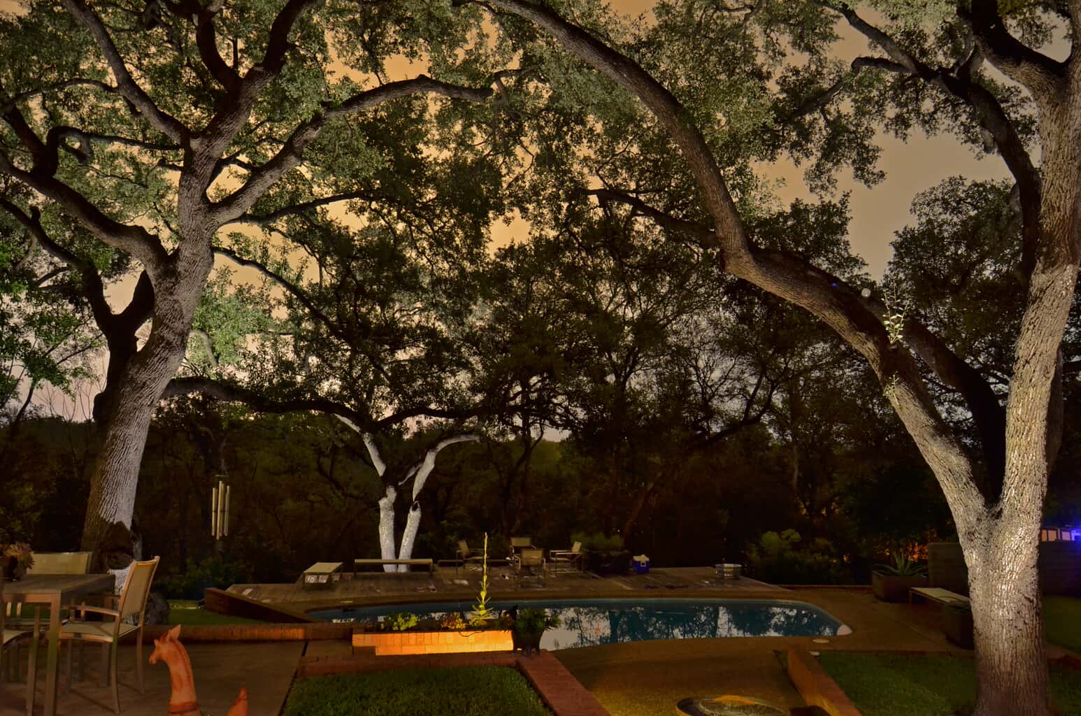 backyard with tree lighting