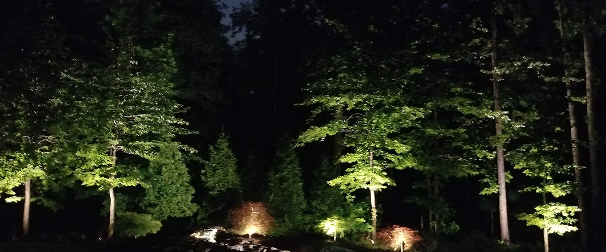 Backyard greenery with lighting