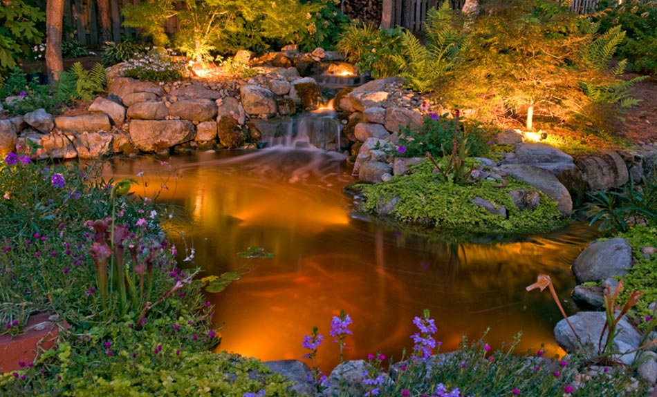 underwater led lights in garden pond