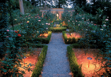 Garden and pathway with lighting