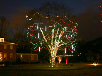 Snowfall holiday lighting