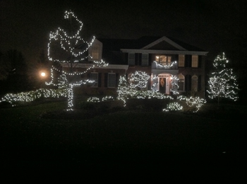 Pittsburgh Christmas tree lighting