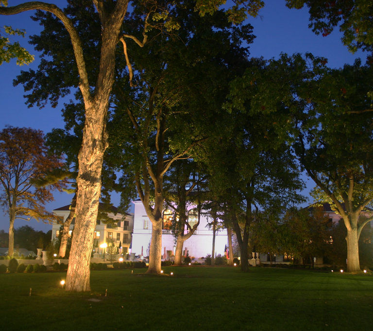 Illuminated trees and grass area