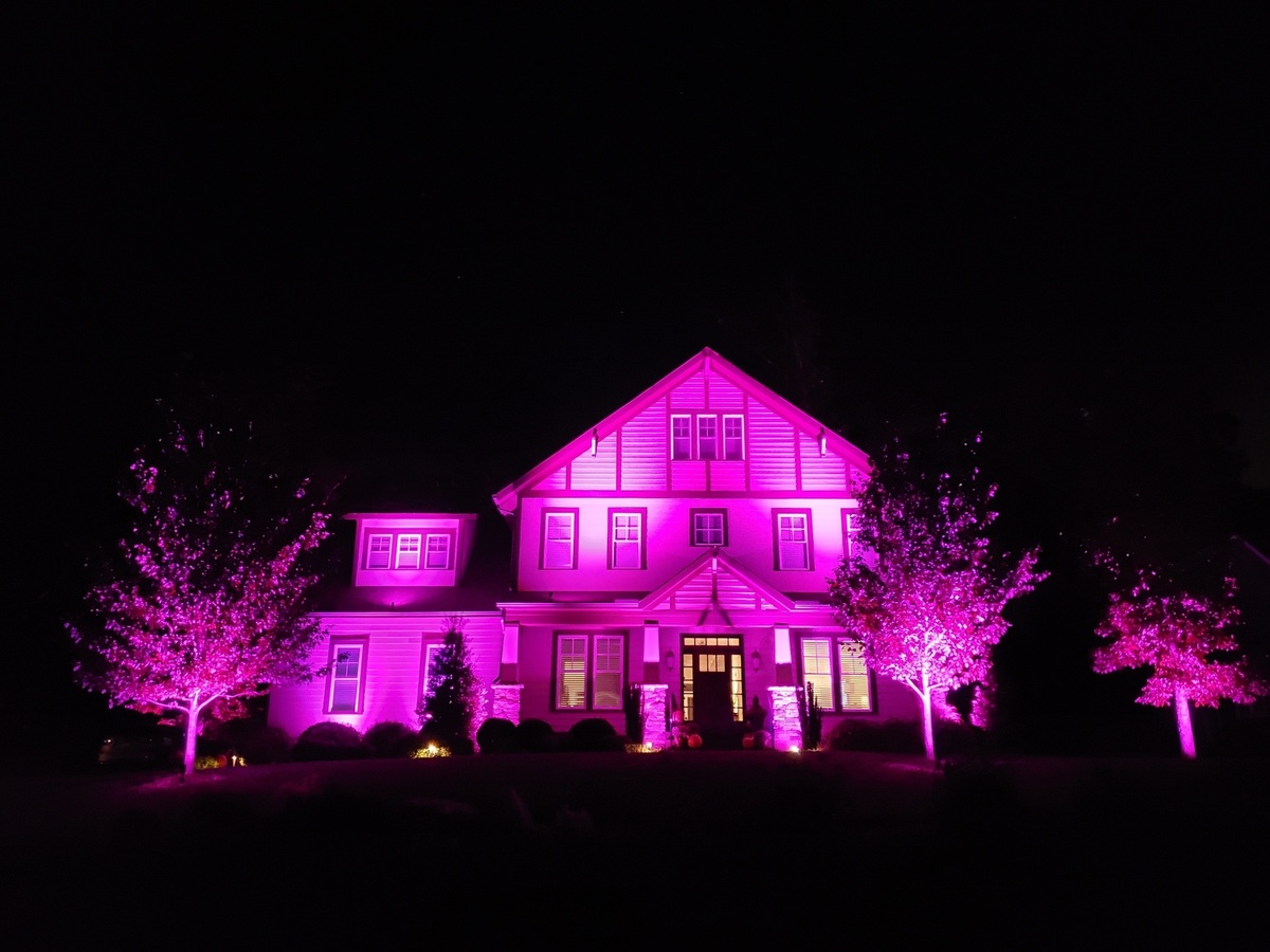 pink lighting on house and front yard