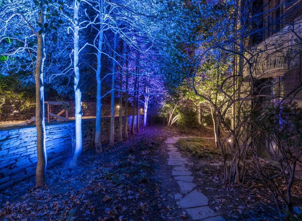 treeline lighting