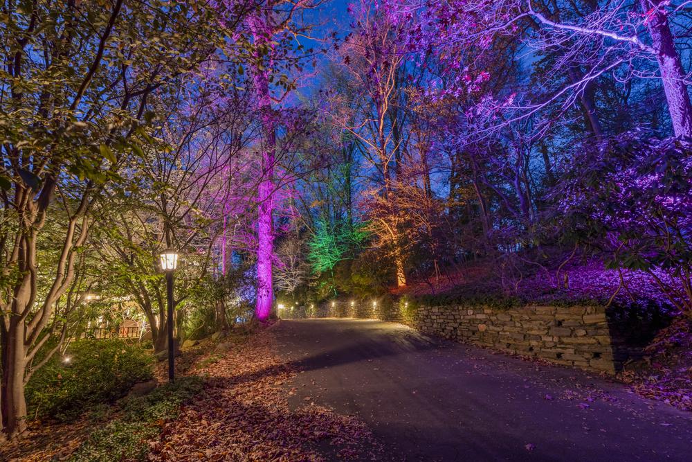 pathway lighting