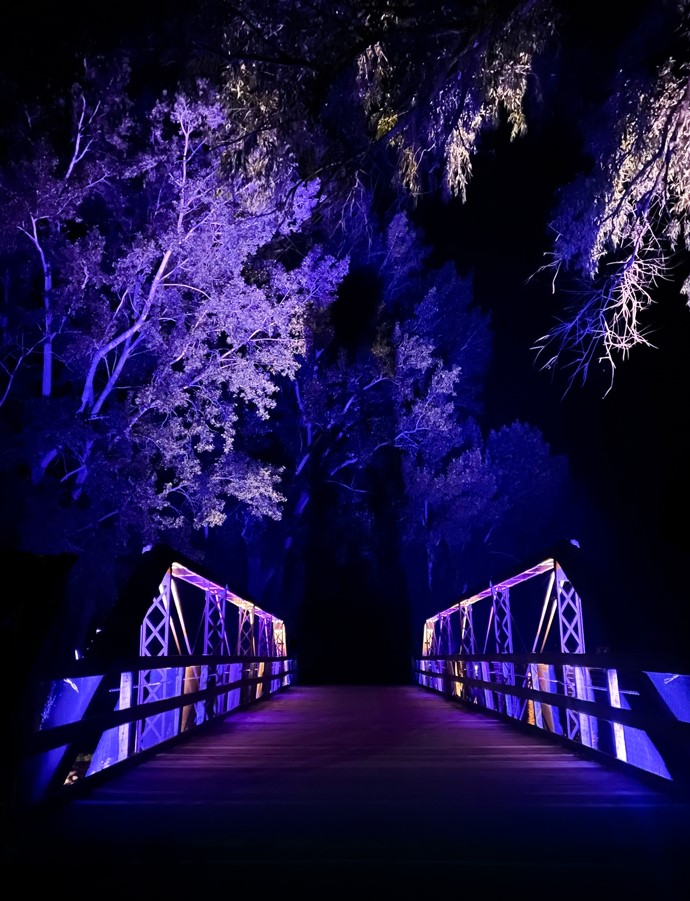 purple lights on bridge