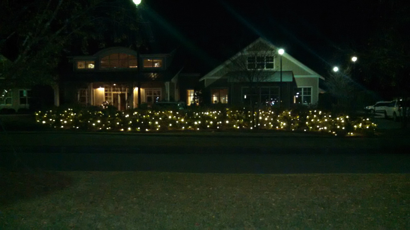 Shrub Christmas lighting